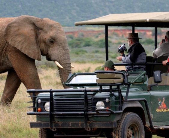 Hospitality & tourism A5SA